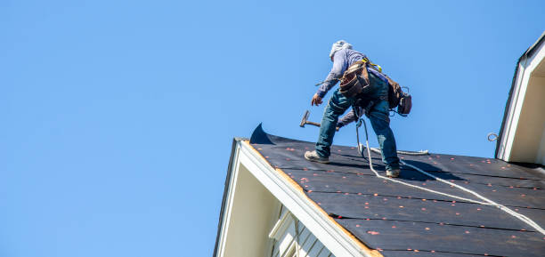 Roof Gutter Cleaning in Lookout Mountain, TN